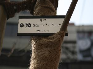 朝日稲荷前ハナミズキ街路樹（2010.3.17）